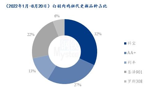 圣农鸡苗供应量逼近20亿只！广明2号订单达20万套，国产白鸡获认可，推广速度超预期