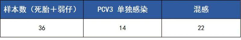 综述：PCV3致病性研究及临床表现的最新研究进展