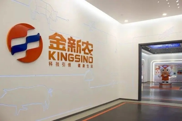 金新农：全程存活率约为84%，生猪养殖成本与上半年持平