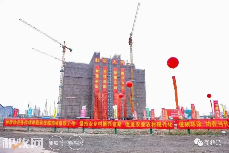 值得收藏：广东备受关注的十大新建猪场项目，总规模超500万头！