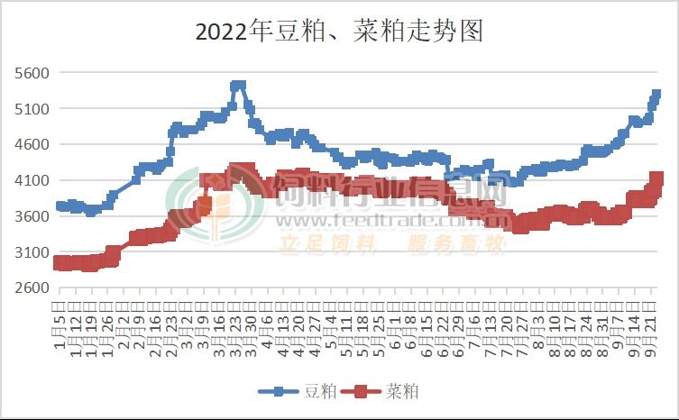 豆粕6100元/吨，创下年内最高水平！