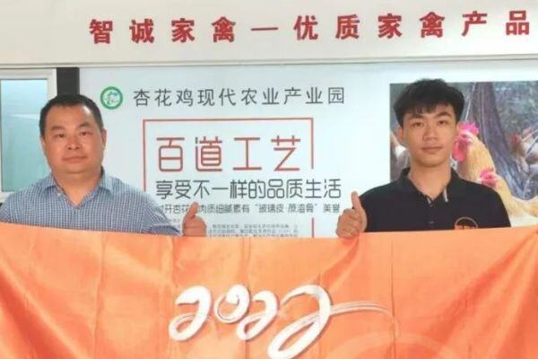 智诚家禽：养足150天才卖！年出栏杏花鸡苗2000万羽，市占率达60%！| 国鸡侣行