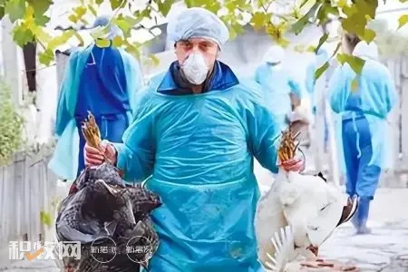 海外秋季禽流感来势汹汹，动物疫苗行业机会几何？