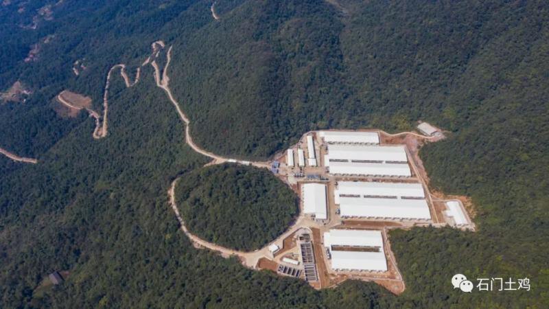 湘佳股份百万头生猪全产业链构建完成！