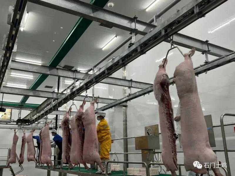 湘佳股份百万头生猪全产业链构建完成！
