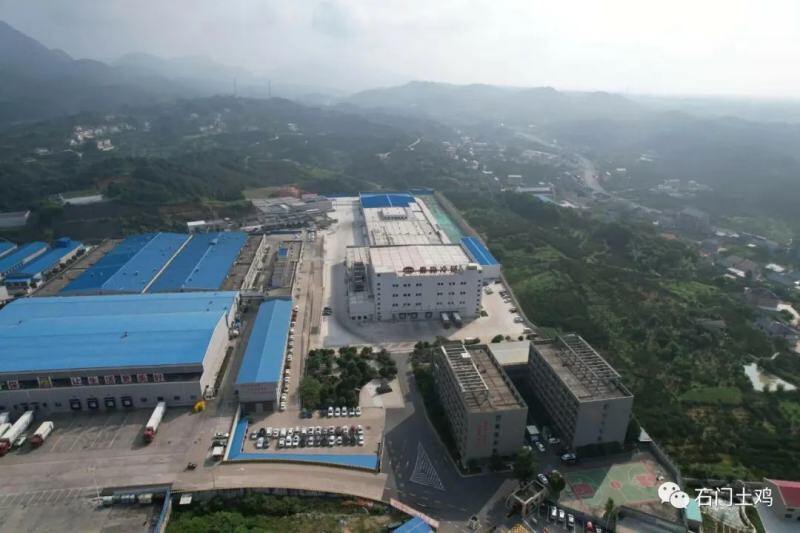 湘佳股份百万头生猪全产业链构建完成！