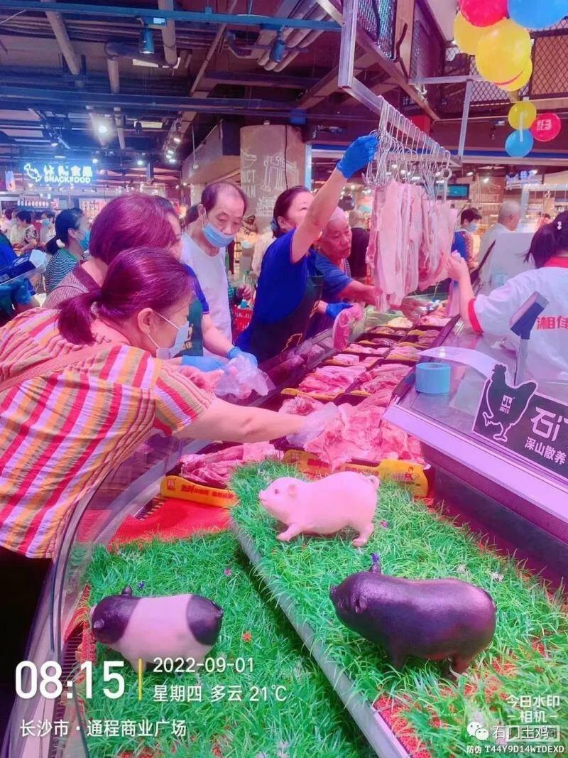 湘佳股份百万头生猪全产业链构建完成！