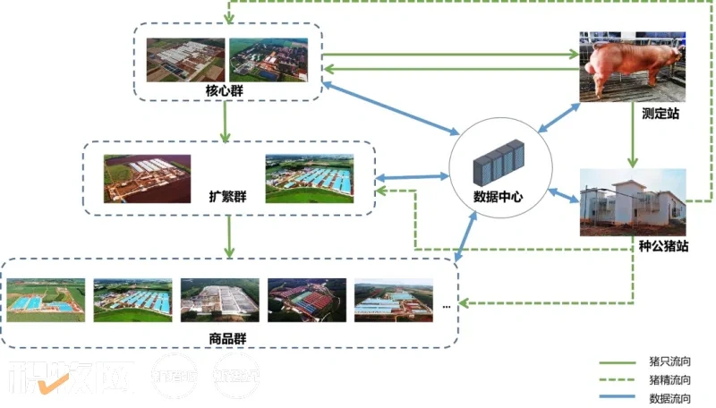 广垦畜牧集团获评全国农业技术推广成果奖二等奖