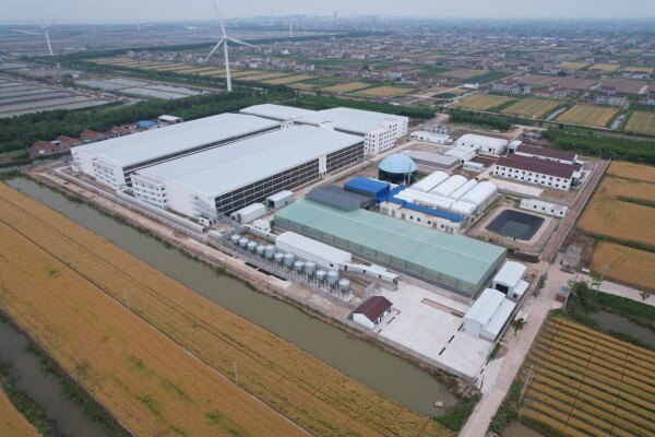 温氏国资双加持！煦兴牧科打造龙头精品猪企，160万头产能蓄势待发