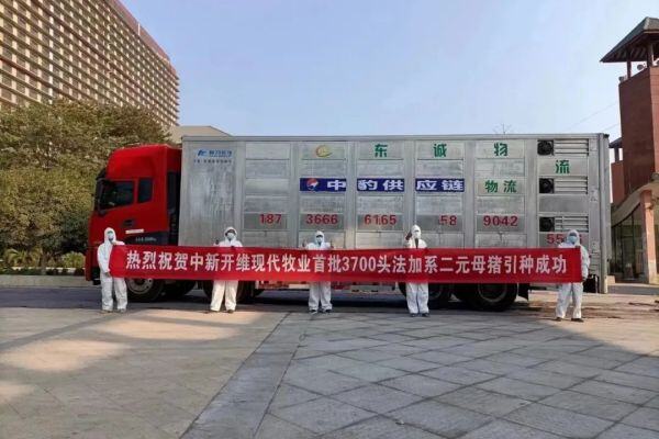 26层全球最高楼房猪场正式投产！牧原、唐人神、扬翔风行…这些养猪项目刷新记录