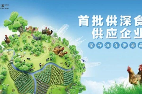 京基智农：9月销售生猪18.72万头，年内累计出栏89.30万头
