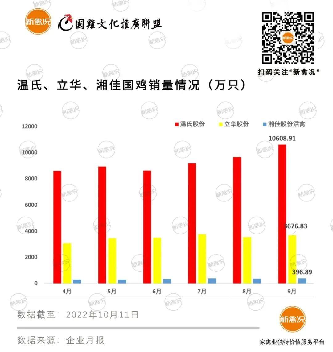 第三季度共销售4.16亿只！9月温氏、立华国鸡售价逼近19元/公斤，湘佳活禽销量再创新高