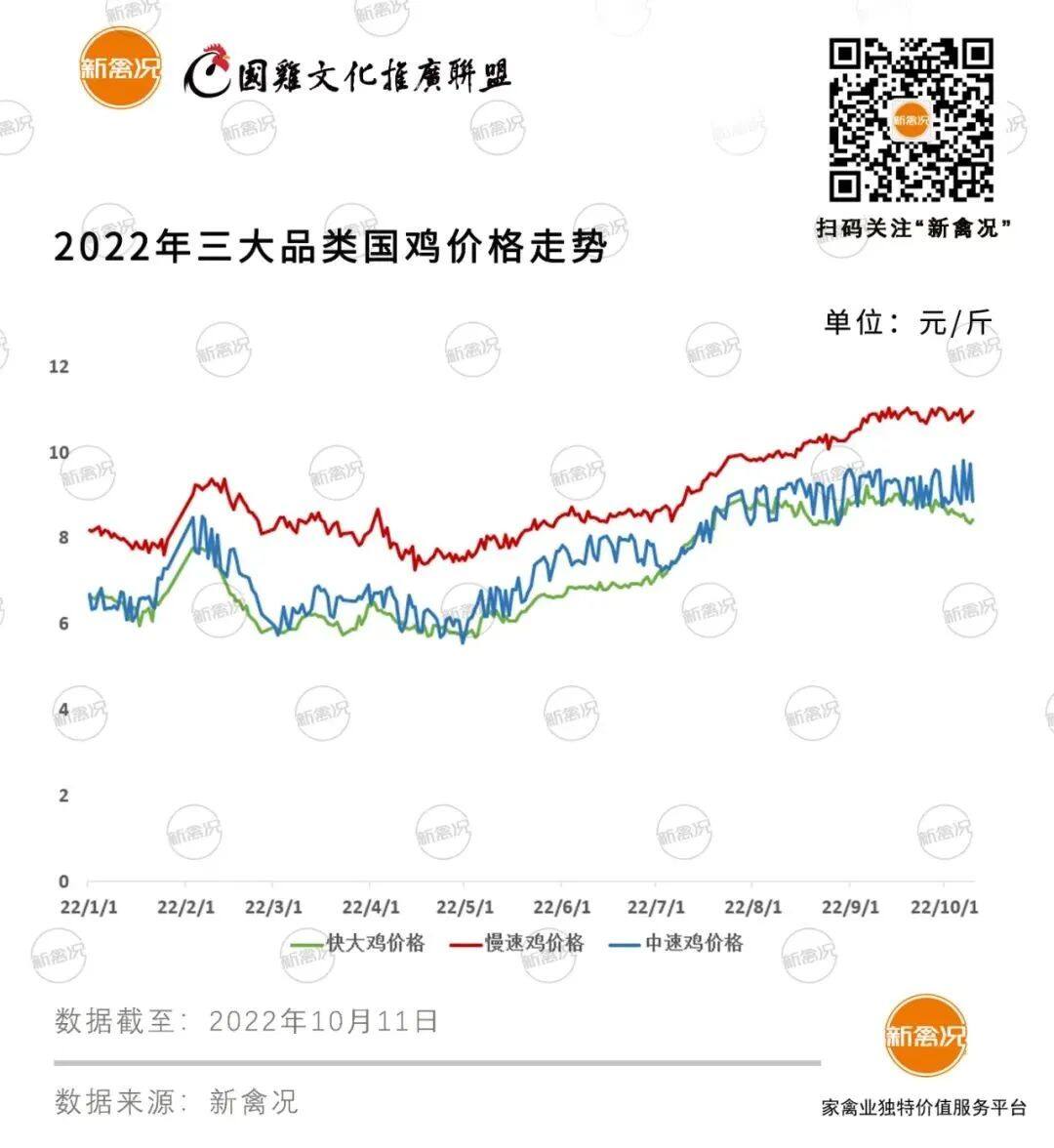 第三季度共销售4.16亿只！9月温氏、立华国鸡售价逼近19元/公斤，湘佳活禽销量再创新高