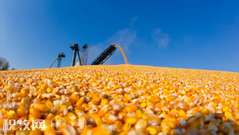 临近上市，玉米局势突然“生变”！对价格会有什么影响？