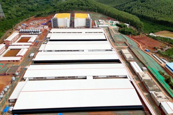 年出栏20万头！德康在广东罗定的首个楼房猪场投产！