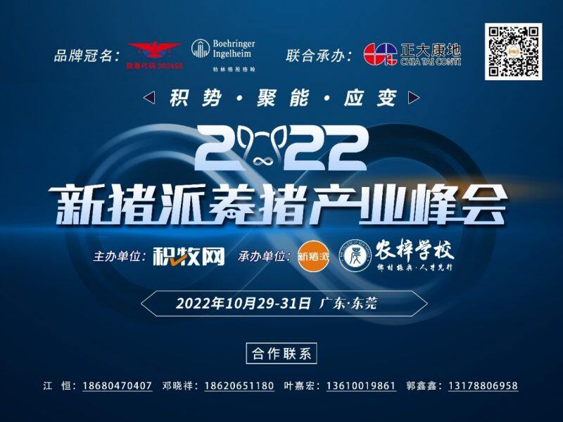 唐懿：十年征程創新標桿，以科技驅動力為行業創造價值！