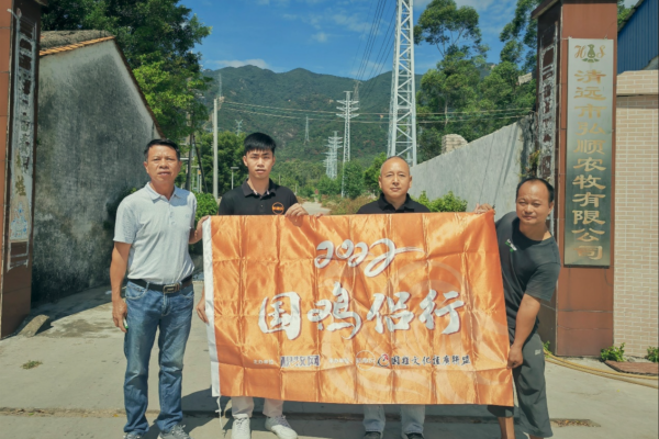 弘顺农牧：麻黄鸡散户锐减8成！投苗积极性持续受挫下，国鸡产能去化明显| 国鸡侣行