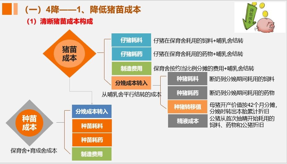 8元以内才能避免被淘汰？张祥斌：极限降本时代已至，“4降4增”举措构建养猪竞争力|2022新猪派养猪产业峰会