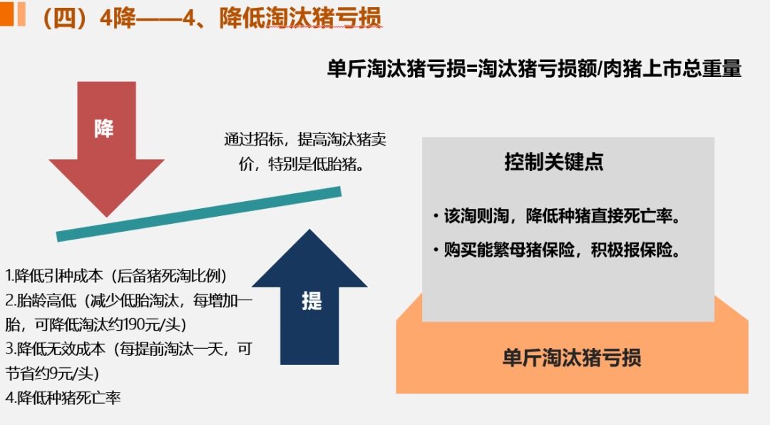 8元以内才能避免被淘汰？张祥斌：极限降本时代已至，“4降4增”举措构建养猪竞争力|2022新猪派养猪产业峰会