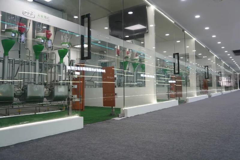 冲！冲！冲！FPF智能养猪体验中心高效建成，跑出新的扬翔速度！