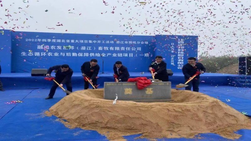 明年猪价会好吗?十大猪企能繁母猪总量接近590万头,正邦合资公司养猪项目开建|巨头周事