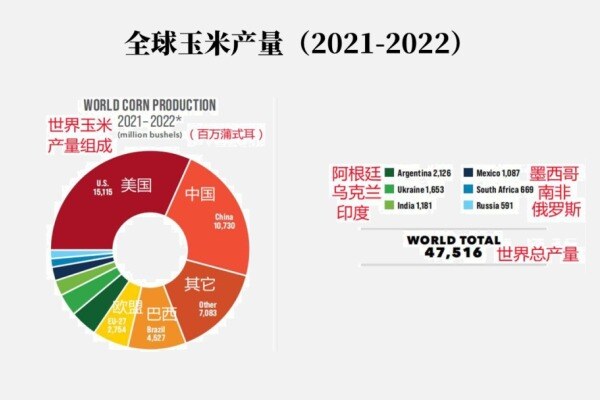 请务必收藏！2022年全世界玉米的大数据
