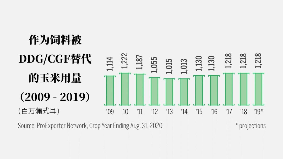 请务必收藏！2022年全世界玉米的大数据