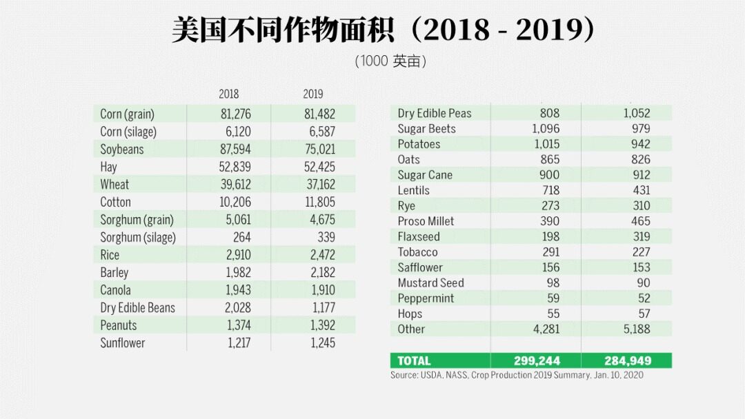 请务必收藏！2022年全世界玉米的大数据