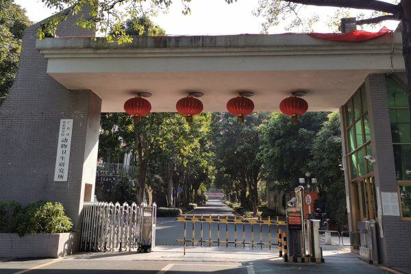 非洲猪瘟检测试剂盒批准注册！广东省农科院动卫所、华南农大等单位申报