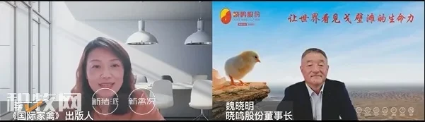 专访晓鸣股份董事长魏晓明：谈中国家禽业可持续发展
