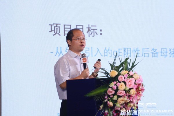 阮坤祥分享伪狂犬净化案例：阴性后备猪混群不转阳，阳性场产阴性后备猪