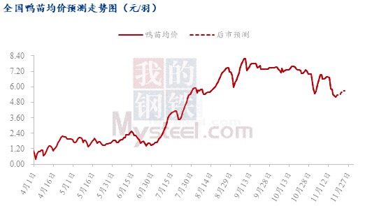 行情大好！鴨苗一只漲5元，益客擴產、華英鴨苗全自養