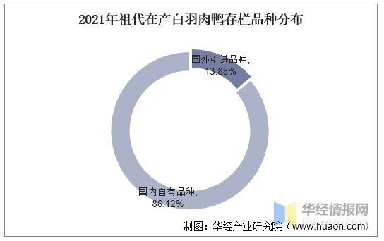 行情大好！鴨苗一只漲5元，益客擴產、華英鴨苗全自養