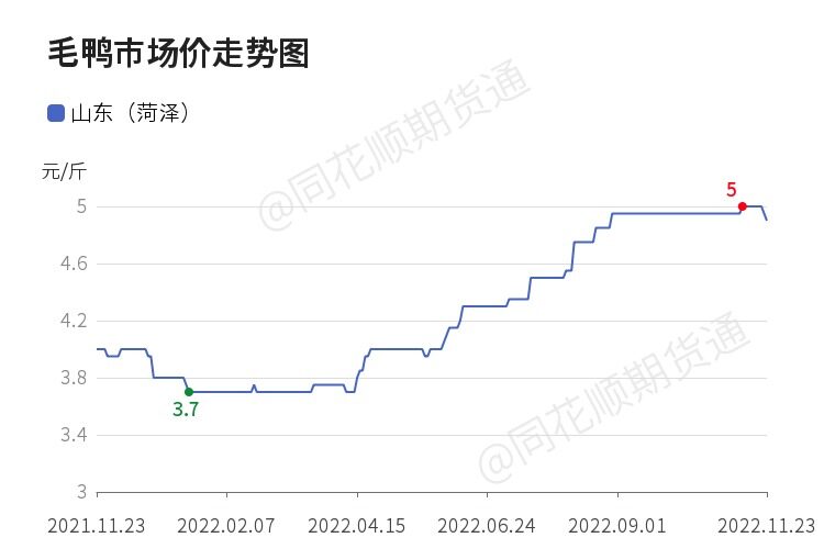 行情大好！鴨苗一只漲5元，益客擴產、華英鴨苗全自養