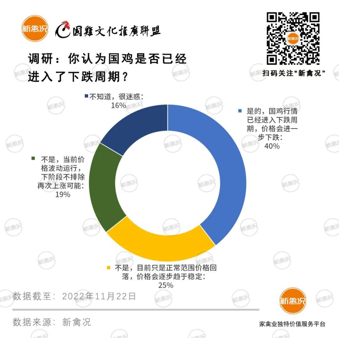 仿土公苗降价1.5元/只，超4成养户“看衰”下阶段鸡价【苗价分析】