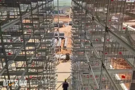 河南惊现新建12层高、单栋可存栏16万只蛋鸡舍！