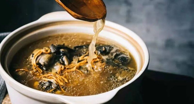 提升元气指数！ 一探温氏天露土乌鸡的花式吃法