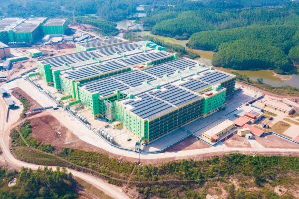 安全运转超6万小时，大牧人携手东瑞股份打造智能化楼房猪场新标杆