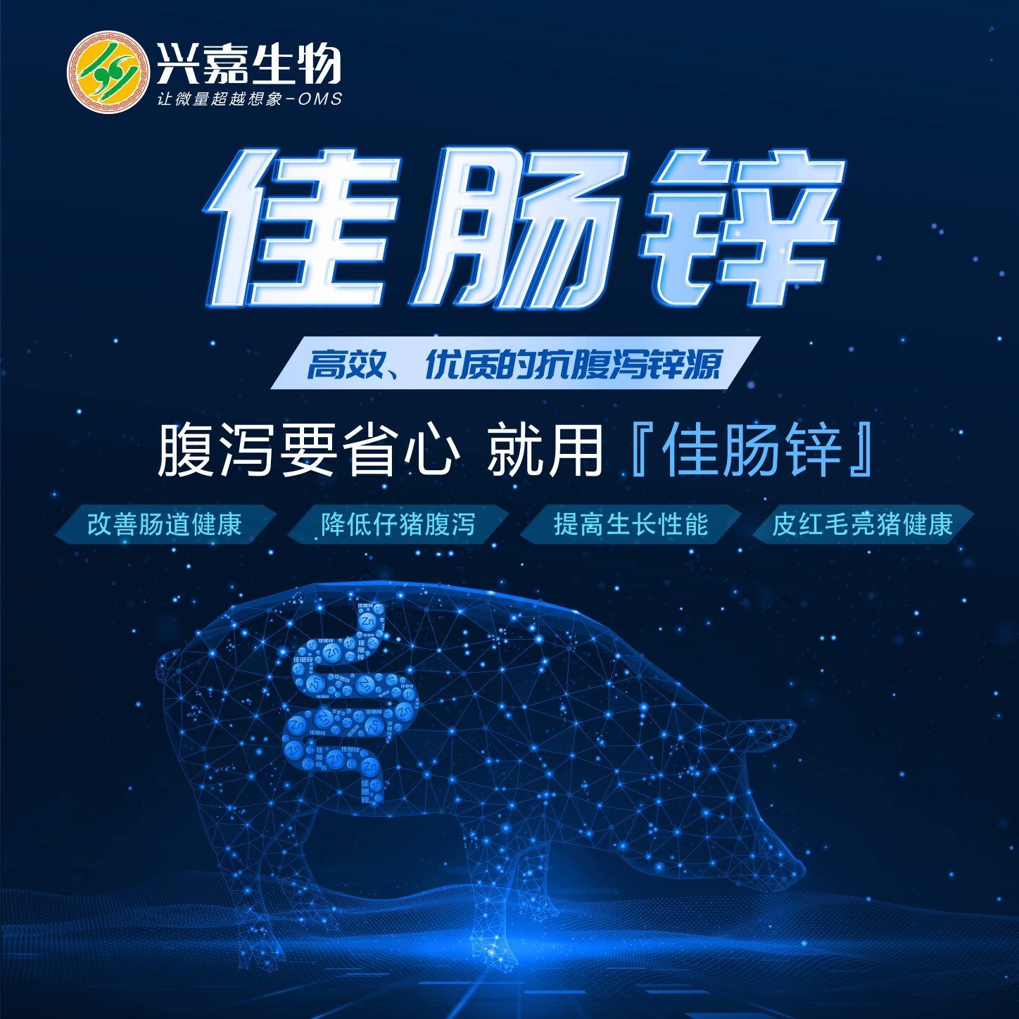 兴嘉生物【佳肠锌】入围中国猪业抗疫增效技术创新大赛·第二季候选项目