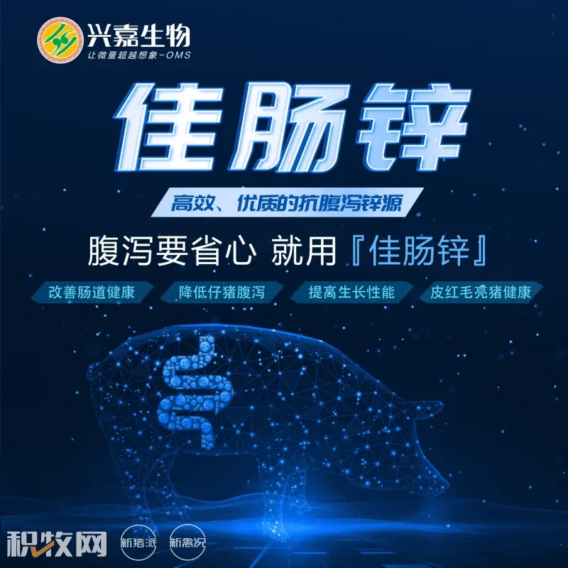 兴嘉生物【佳肠锌】入围中国猪业抗疫增效技术创新大赛·第二季候选项目