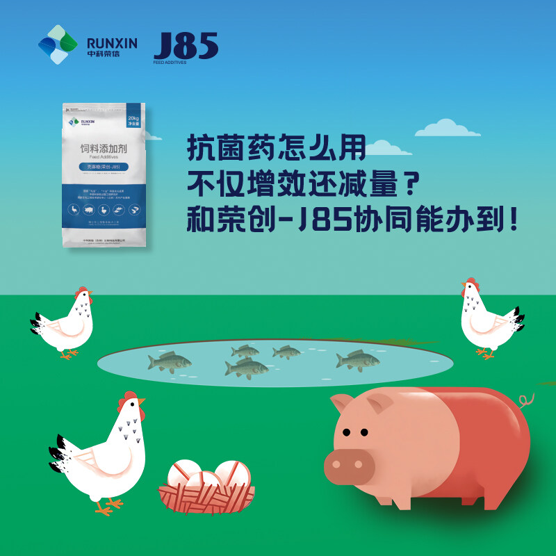 中科荣信【荣创-J85】入围中国猪业抗疫增效技术创新大赛·第二季候选项目