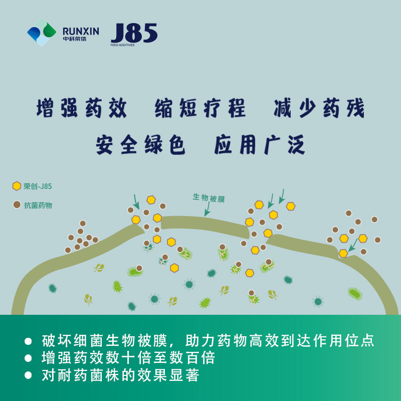 中科荣信【荣创-J85】入围中国猪业抗疫增效技术创新大赛·第二季候选项目