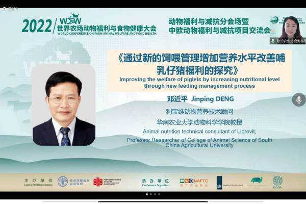 邓近平：重视仔猪福利，通过新型饲喂模式养出健康猪