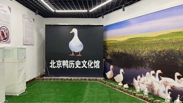 土鸡暴跌1元/斤，料价最高降200元/吨！养户赌先亏后赚【禽听要闻】