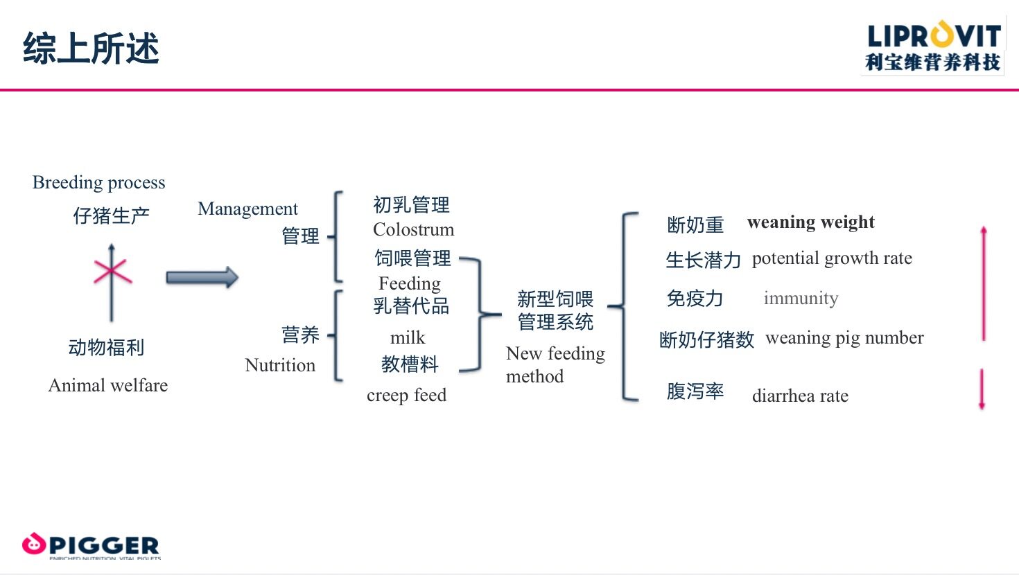 邓近平：重视仔猪福利，通过新型饲喂模式养出健康猪