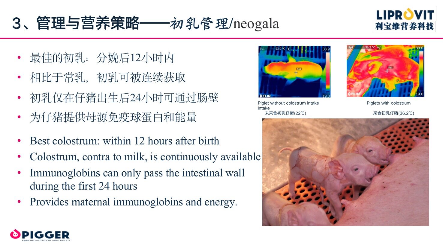 邓近平：重视仔猪福利，通过新型饲喂模式养出健康猪