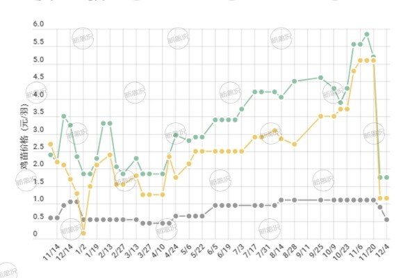 投苗淡季？三黄土母跌0.6元/羽，华南鸡苗“打包销售”，华中淘老鸡、卖菜蛋【苗价分析】