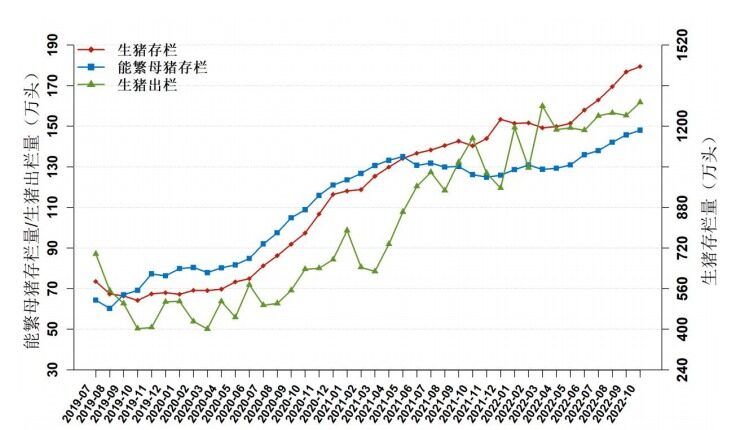 10月广东省生猪出栏价格领跑全国，养殖利润突破1000元/头