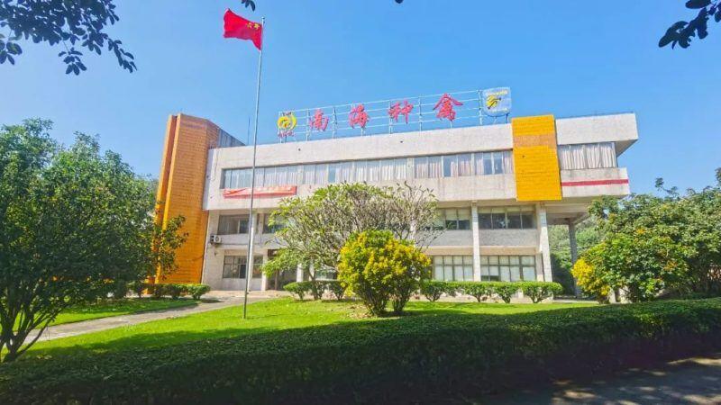 签订战略合作协议！南海种禽与灯塔实验室共同构建家禽种业一体化创新体系