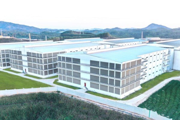 京基智农：2月生猪销售13.35万头，销售收入1.92亿元